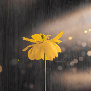 妺妺晚上扒我内裤玩我动漫
